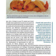 Load image into Gallery viewer, Guia Esencial sobre Jesus (Ultimate Guide to Jesus)
