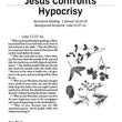 Load image into Gallery viewer, NIV Standard Lesson Commentary, Large Print Edition 2023-2024
