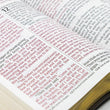 Load image into Gallery viewer, Personalized NLT Holy Bible Giant Print TuTone LeatherLike Brown/Tan
