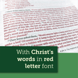 Load image into Gallery viewer, Personalized Custom Text Your Name NLT Life Application Study Bible Third Edition Red Letter LeatherLike Brown/Mahogany
