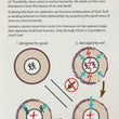 Load image into Gallery viewer, The Plan of Salvation Pamphlet

