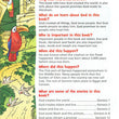 Load image into Gallery viewer, Personalized NIV Adventure Bible for Kids Hardcover Full Color
