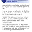 Load image into Gallery viewer, The Spirit Filled Life Tracts (Pack of 25)
