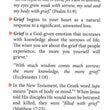 Load image into Gallery viewer, Grief [Hope For The Heart Series] - June Hunt
