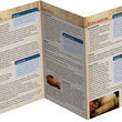 Load image into Gallery viewer, Seven Churches of Revelation Pamphlet
