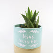 Load image into Gallery viewer, Aloe Nobilis 'Gold Tooth Aloe' Succulent Plant in "Jesus Loves Me" Planter
