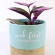 Load image into Gallery viewer, Tradescantia 'Albiflora' Nanouk Live Plant in "Seek First The Kingdom Of God" Nursery Pot
