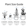 Load image into Gallery viewer, Jade Succulent Plant in "Jesus Loves Me" Planter

