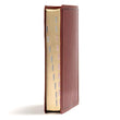 Load image into Gallery viewer, Personalized KJV Large Print Personal Size Reference Bible Brown Leathertouch Indexed

