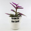 Load image into Gallery viewer, Tradescantia 'Albiflora' Nanouk Live Plant in "Grow In The Lord" Nursery Pot
